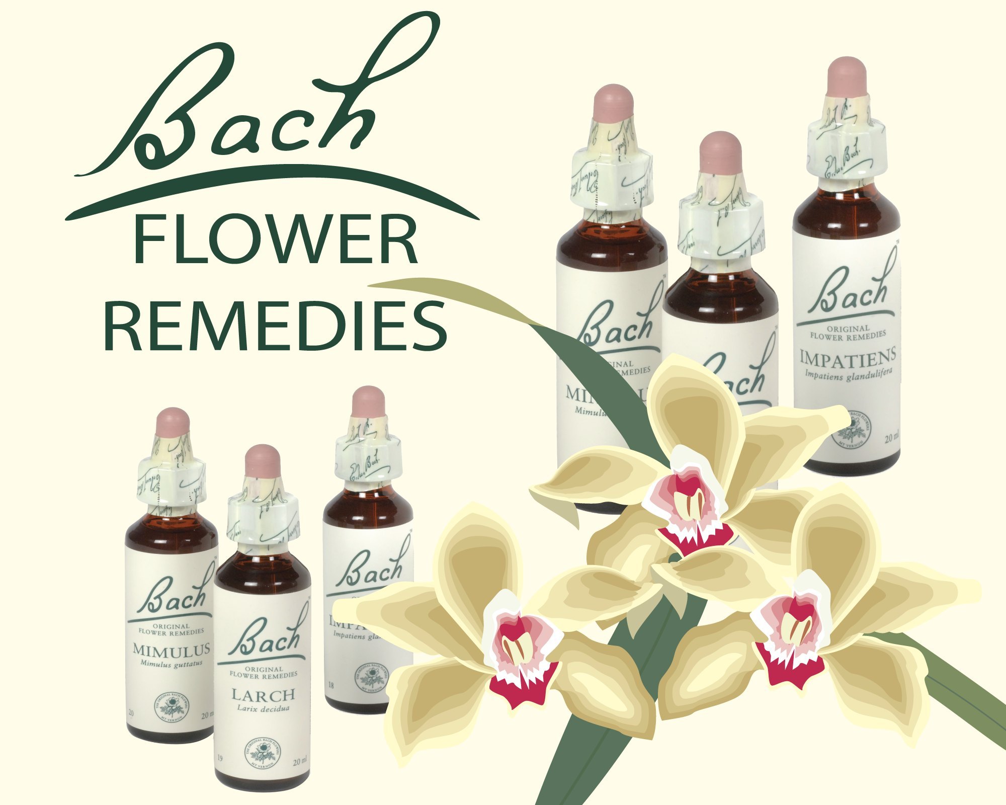 Diploma in Bach Flower Remedies - Emotional Healing